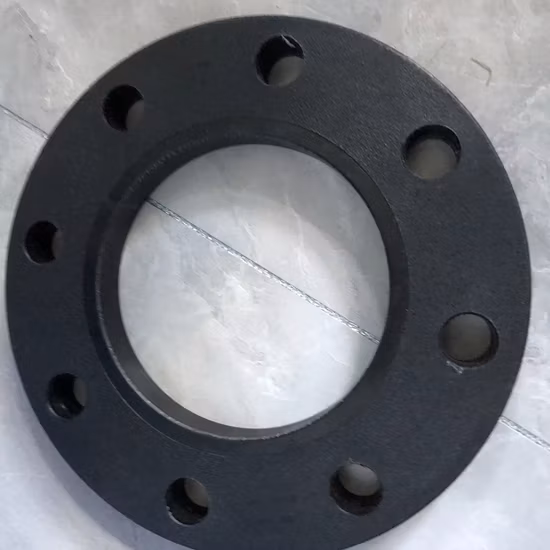 PP Coated Steel Backing Ring / Flange